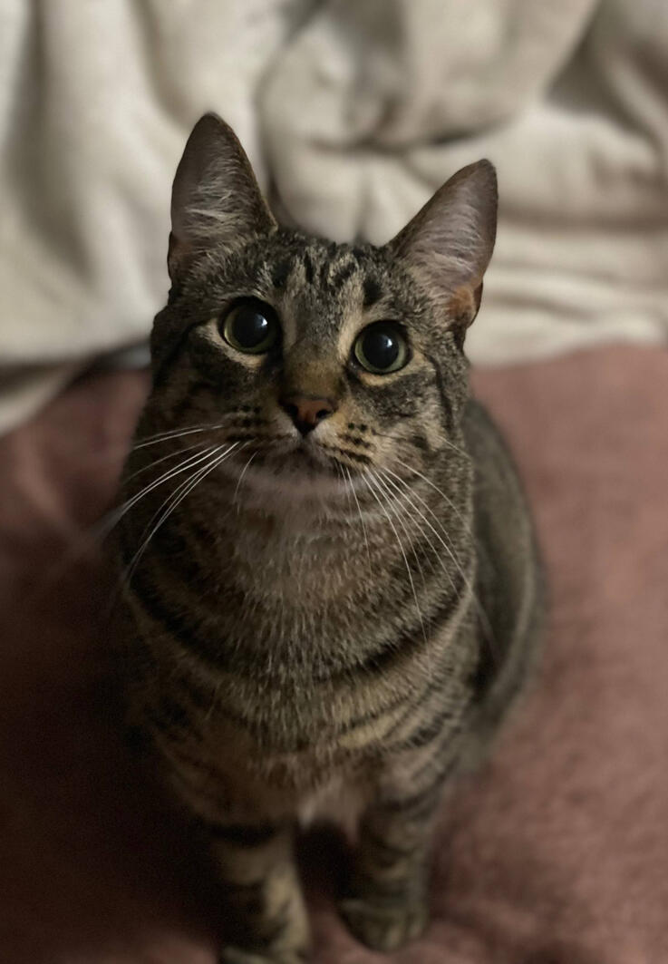 Little